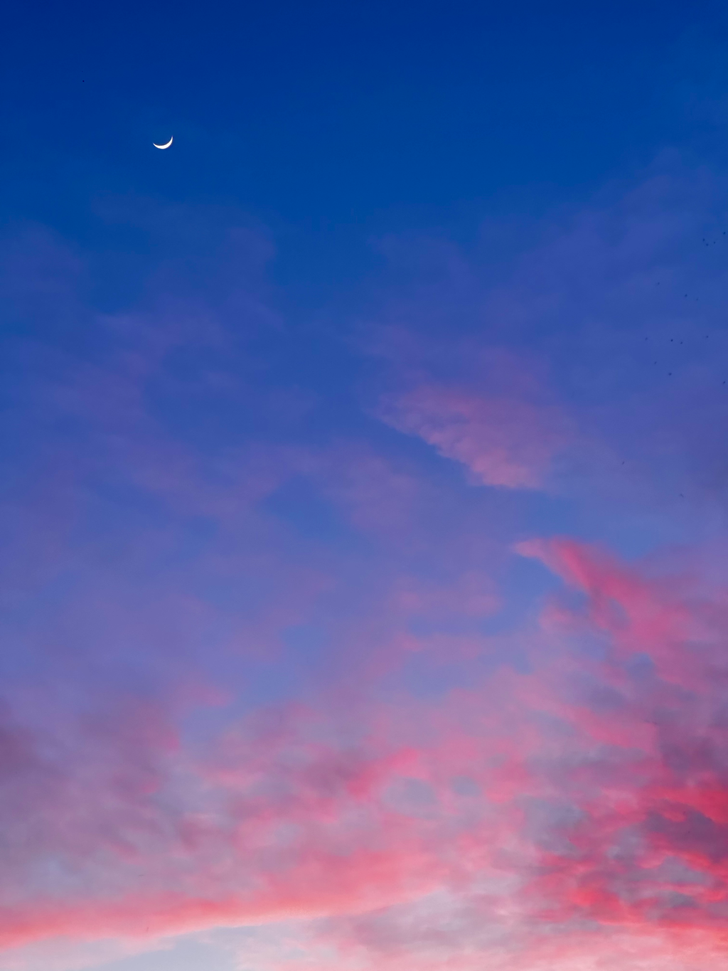 UNA NOTTE NELL' UNIVERSO