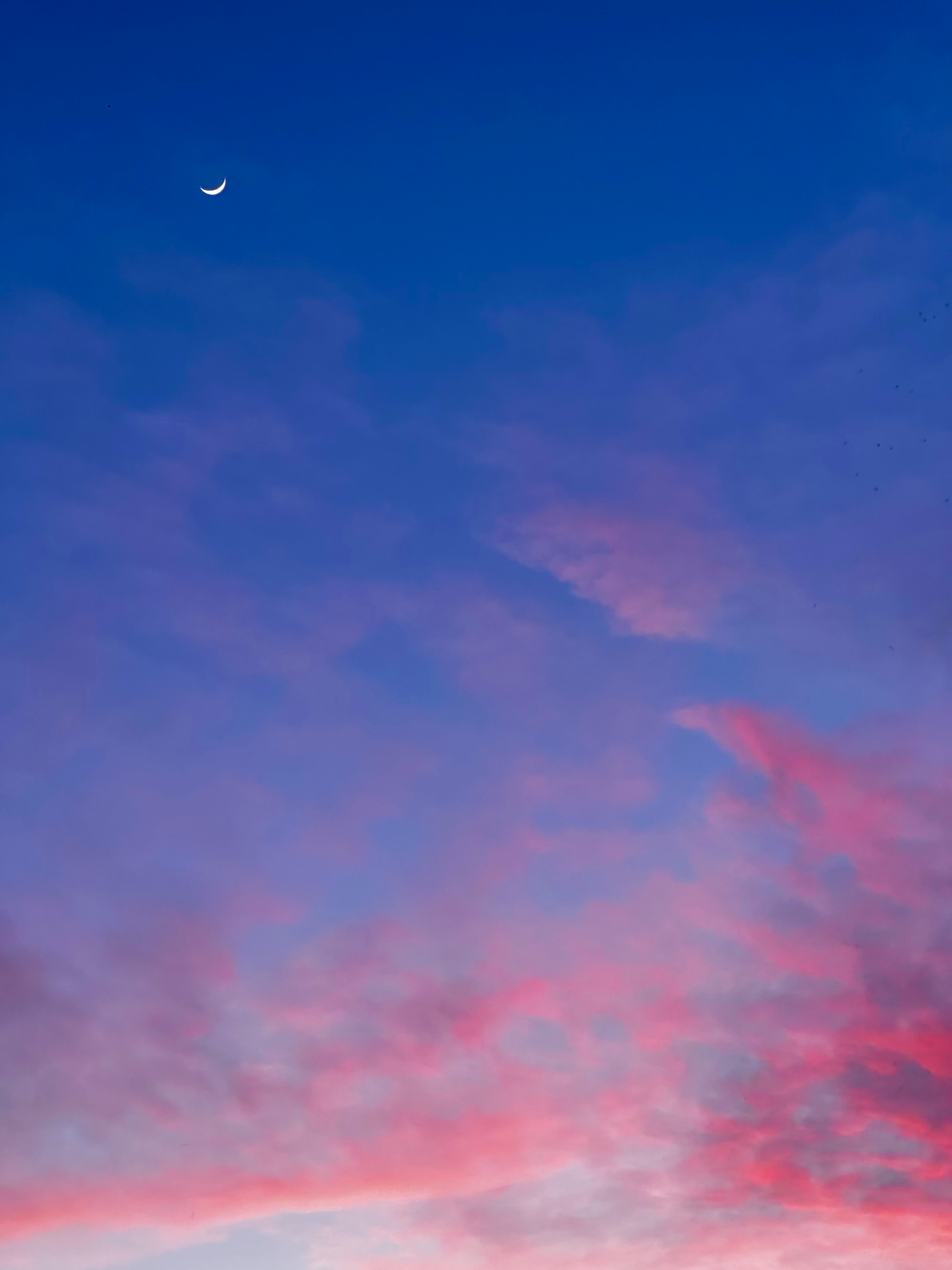 UNA NOTTE NELL' UNIVERSO