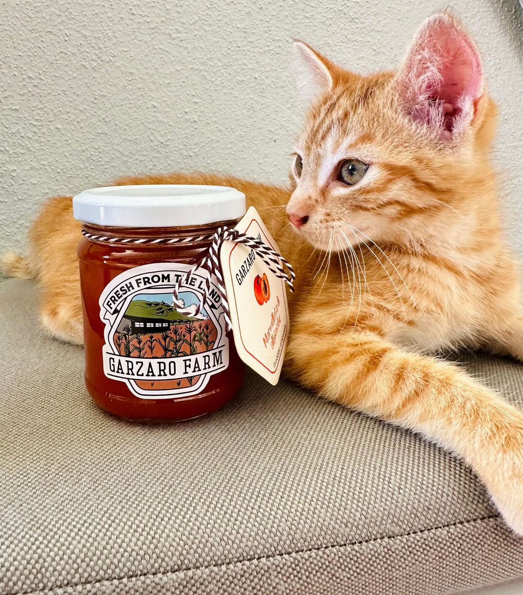 Jam