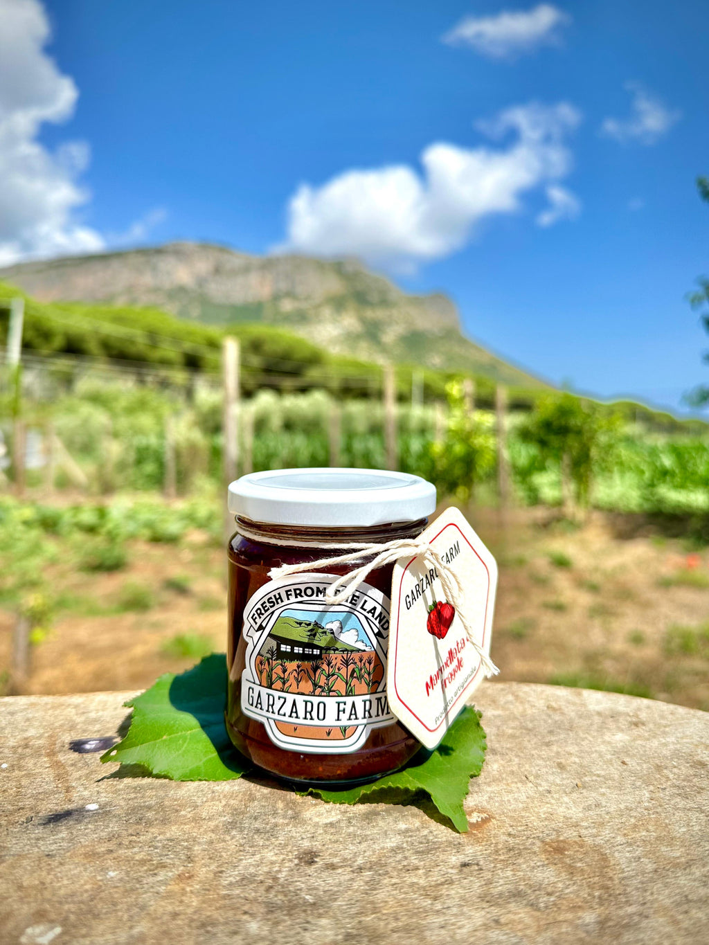Jam