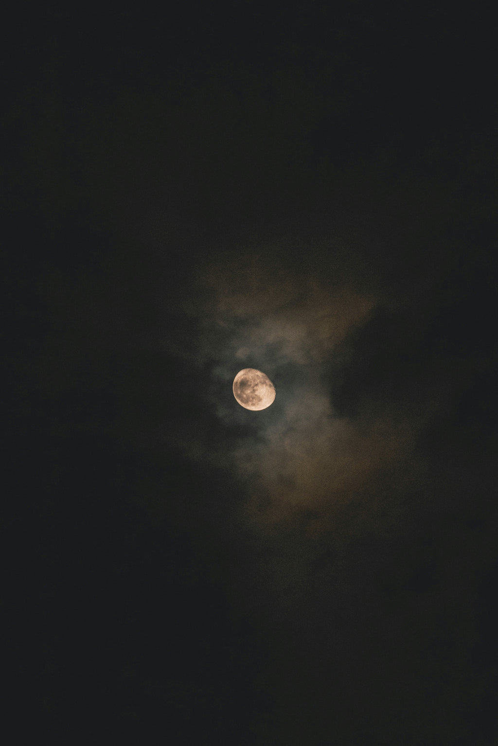 UNA NOTTE NELL' UNIVERSO